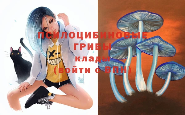 кокс Медвежьегорск