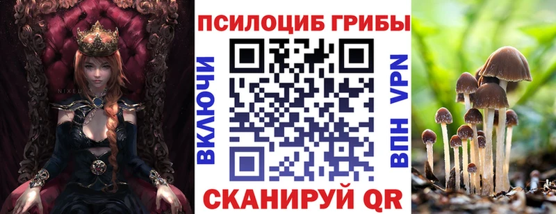 Галлюциногенные грибы Cubensis МЕГА маркетплейс Навашино